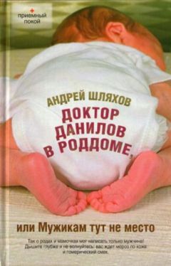 Андрей Шляхов - Доктор Данилов в роддоме, или Мужикам тут не место - Читать | Читать онлайн | Читаемые книги читать онлайн бесплатно | booksread-online.com