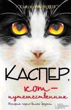 Сьюзен Финден - Каспер, кот-путешественник - Читать онлайн Читаемые книги бесплатно booksread-online.com