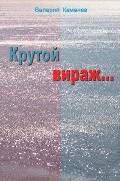 Валерий Каменев - Крутой вираж… - Читать онлайн Читаемые книги бесплатно booksread-online.com