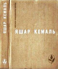 Яшар Кемаль - Легенда Горы. Если убить змею. Разбойник. Рассказы. Очерки - Читать 📖 Читать онлайн 👀 Читаемые книги читать онлайн бесплатно 🔥 booksread-online.com