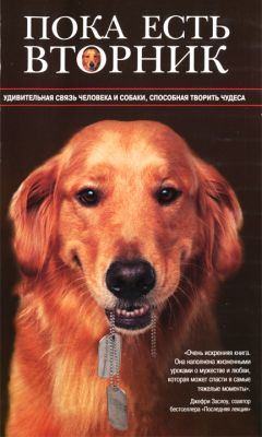 Луис Карлос Монталван - Пока есть Вторник. Удивительная связь человека и собаки, способная творить чудеса - Читать онлайн Читаемые книги бесплатно booksread-online.com
