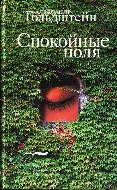Александр Гольдштейн - Спокойные поля - Читать 📖 Читать онлайн 👀 Читаемые книги читать онлайн бесплатно 🔥 booksread-online.com