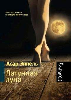 Асар Эппель - Латунная луна : рассказы - Читать | Читать онлайн | Читаемые книги читать онлайн бесплатно | booksread-online.com