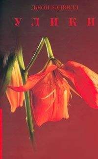 John Banville - Улики - Читать онлайн Читаемые книги бесплатно booksread-online.com