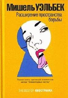 Мишель Уэльбек - Расширение пространства борьбы - Читать 📖 Читать онлайн 👀 Читаемые книги читать онлайн бесплатно 🔥 booksread-online.com
