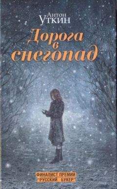 Антон Уткин - Дорога в снегопад - Читать 📖 Читать онлайн 👀 Читаемые книги читать онлайн бесплатно 🔥 booksread-online.com