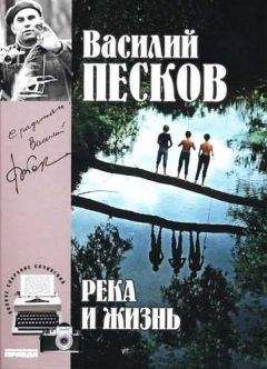 Василий Песков - Полное собрание сочинений. Том 10. Река и жизнь - Читать 📖 Читать онлайн 👀 Читаемые книги читать онлайн бесплатно 🔥 booksread-online.com
