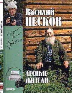 Василий Песков - Полное собрание сочинений. Том 23. Лесные жители - Читать 📖 Читать онлайн 👀 Читаемые книги читать онлайн бесплатно 🔥 booksread-online.com