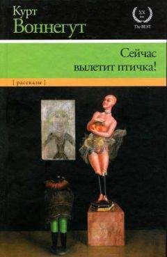 Курт Воннегут - Сейчас вылетит птичка! - Читать | Читать онлайн | Читаемые книги читать онлайн бесплатно | booksread-online.com