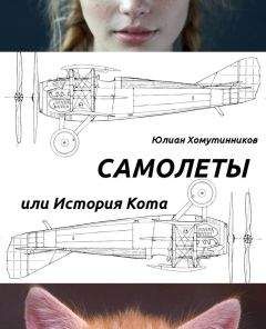 Юлиан Хомутинников - Самолеты, или История Кота (СИ) - Читать | Читать онлайн | Читаемые книги читать онлайн бесплатно | booksread-online.com