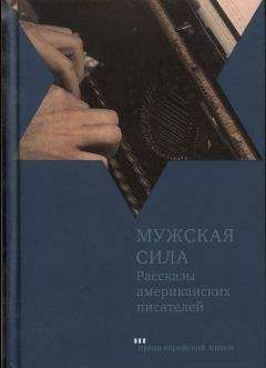 Делмор Шварц - Мужская сила. Рассказы американских писателей - Читать онлайн Читаемые книги бесплатно booksread-online.com