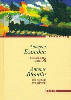 Антуан Блонден - Обезьяна зимой - Читать онлайн Читаемые книги бесплатно booksread-online.com