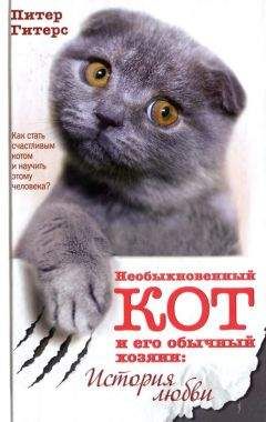Питер Гитерс - Необыкновенный кот и его обычный хозяин. История любви - Читать | Читать онлайн | Читаемые книги читать онлайн бесплатно | booksread-online.com