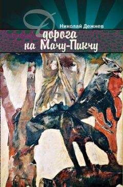 Николай Дежнев - Дорога на Мачу-Пикчу - Читать | Читать онлайн | Читаемые книги читать онлайн бесплатно | booksread-online.com
