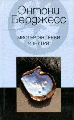 Энтони Берджесс - Мистер Эндерби изнутри - Читать | Читать онлайн | Читаемые книги читать онлайн бесплатно | booksread-online.com