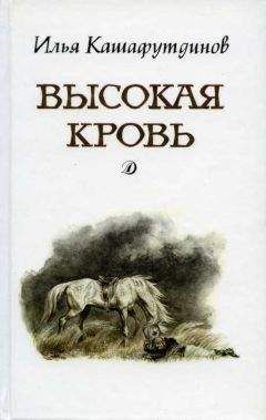 Ильгиз Кашафутдинов - Высокая кровь - Читать | Читать онлайн | Читаемые книги читать онлайн бесплатно | booksread-online.com