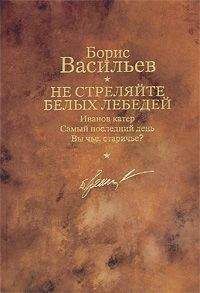 Борис Васильев - Не стреляйте белых лебедей - Читать 📖 Читать онлайн 👀 Читаемые книги читать онлайн бесплатно 🔥 booksread-online.com