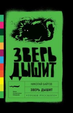 Николай Байтов - Зверь дышит - Читать 📖 Читать онлайн 👀 Читаемые книги читать онлайн бесплатно 🔥 booksread-online.com