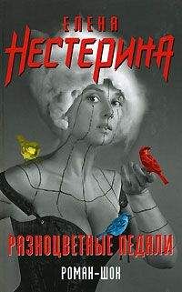 Елена Нестерина - Разноцветные педали - Читать 📖 Читать онлайн 👀 Читаемые книги читать онлайн бесплатно 🔥 booksread-online.com