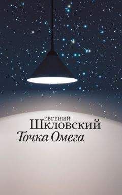 Евгений Шкловский - Точка Омега - Читать 📖 Читать онлайн 👀 Читаемые книги читать онлайн бесплатно 🔥 booksread-online.com