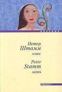 Петер Штамм - Агнес - Читать | Читать онлайн | Читаемые книги читать онлайн бесплатно | booksread-online.com