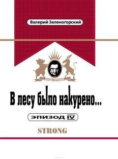Валерий Зеленогорский - В лесу было накурено... Эпизод IV - Читать 📖 Читать онлайн 👀 Читаемые книги читать онлайн бесплатно 🔥 booksread-online.com