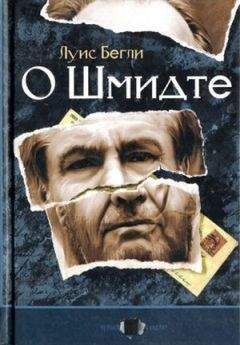 Луис Бегли - О Шмидте - Читать онлайн Читаемые книги бесплатно booksread-online.com