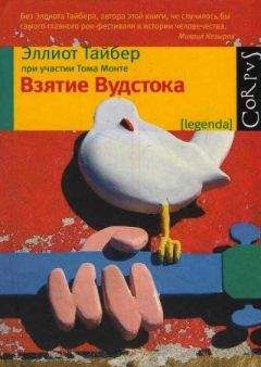 Эллиот Тайбер - Взятие Вудстока - Читать онлайн Читаемые книги бесплатно booksread-online.com