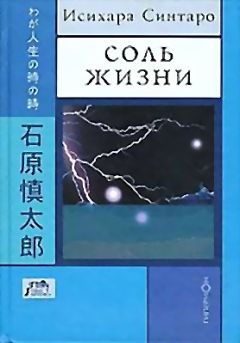 Синтаро Исихара - Соль жизни - Читать | Читать онлайн | Читаемые книги читать онлайн бесплатно | booksread-online.com