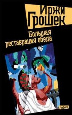 Иржи Грошек - Большая реставрация обеда - Читать 📖 Читать онлайн 👀 Читаемые книги читать онлайн бесплатно 🔥 booksread-online.com