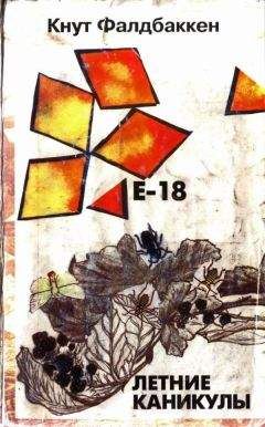 Кнут Фалдбаккен - E-18. Летние каникулы - Читать 📖 Читать онлайн 👀 Читаемые книги читать онлайн бесплатно 🔥 booksread-online.com
