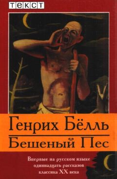 Генрих Бёлль - Бешеный Пес - Читать | Читать онлайн | Читаемые книги читать онлайн бесплатно | booksread-online.com