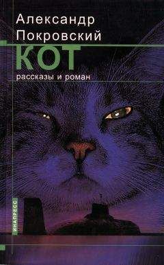 Александр Покровский - Кот - Читать 📖 Читать онлайн 👀 Читаемые книги читать онлайн бесплатно 🔥 booksread-online.com
