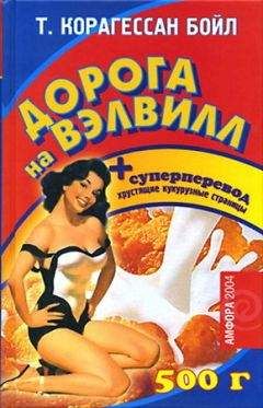 Т. Корагессан Бойл - Дорога на Вэлвилл - Читать 📖 Читать онлайн 👀 Читаемые книги читать онлайн бесплатно 🔥 booksread-online.com