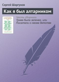 Сергей Шаргунов - Как я был алтарником - Читать 📖 Читать онлайн 👀 Читаемые книги читать онлайн бесплатно 🔥 booksread-online.com