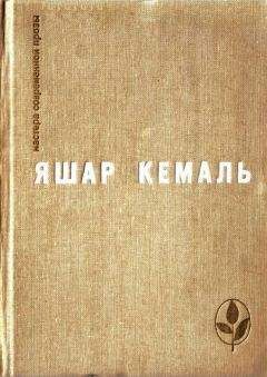 Яшар Кемаль - Разбойник - Читать | Читать онлайн | Читаемые книги читать онлайн бесплатно | booksread-online.com