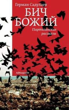 Герман Садулаев - Бич Божий: Партизанские рассказы - Читать 📖 Читать онлайн 👀 Читаемые книги читать онлайн бесплатно 🔥 booksread-online.com