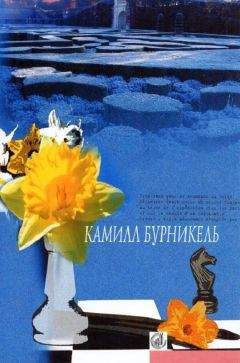 Камилл Бурникель - Темп - Читать 📖 Читать онлайн 👀 Читаемые книги читать онлайн бесплатно 🔥 booksread-online.com