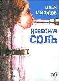 Илья Масодов - Небесная соль (сборник) - Читать 📖 Читать онлайн 👀 Читаемые книги читать онлайн бесплатно 🔥 booksread-online.com