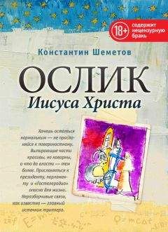 Константин Шеметов - Ослик Иисуса Христа - Читать 📖 Читать онлайн 👀 Читаемые книги читать онлайн бесплатно 🔥 booksread-online.com