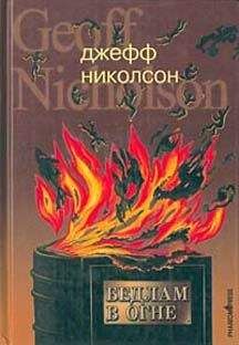 Джефф Николсон - Бедлам в огне - Читать онлайн Читаемые книги бесплатно booksread-online.com