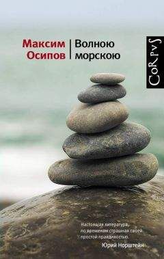 Максим Осипов - Волною морскою (сборник) - Читать 📖 Читать онлайн 👀 Читаемые книги читать онлайн бесплатно 🔥 booksread-online.com