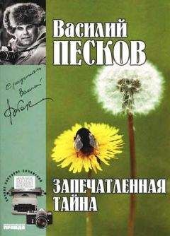 Василий Песков - Полное собрание сочинений. Том 13. Запечатленные тайны - Читать 📖 Читать онлайн 👀 Читаемые книги читать онлайн бесплатно 🔥 booksread-online.com