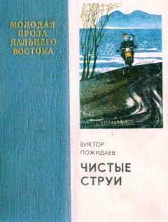Виктор Пожидаев - Чистые струи - Читать | Читать онлайн | Читаемые книги читать онлайн бесплатно | booksread-online.com