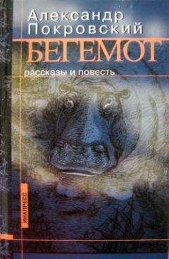 Александр Покровский - Бегемот (сборник) - Читать 📖 Читать онлайн 👀 Читаемые книги читать онлайн бесплатно 🔥 booksread-online.com