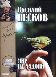 Василий Песков - Полное собрание сочинений. Том 21. Мир на ладони - Читать 📖 Читать онлайн 👀 Читаемые книги читать онлайн бесплатно 🔥 booksread-online.com