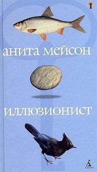 Анита Мейсон - Иллюзионист - Читать | Читать онлайн | Читаемые книги читать онлайн бесплатно | booksread-online.com