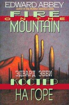 Эдвард Эбби - Костер на горе - Читать онлайн Читаемые книги бесплатно booksread-online.com