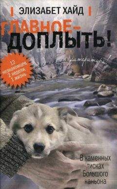 Элизабет Хайд - Главное - доплыть - Читать | Читать онлайн | Читаемые книги читать онлайн бесплатно | booksread-online.com