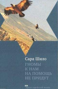 Сара Шило - Гномы к нам на помощь не придут - Читать онлайн Читаемые книги бесплатно booksread-online.com